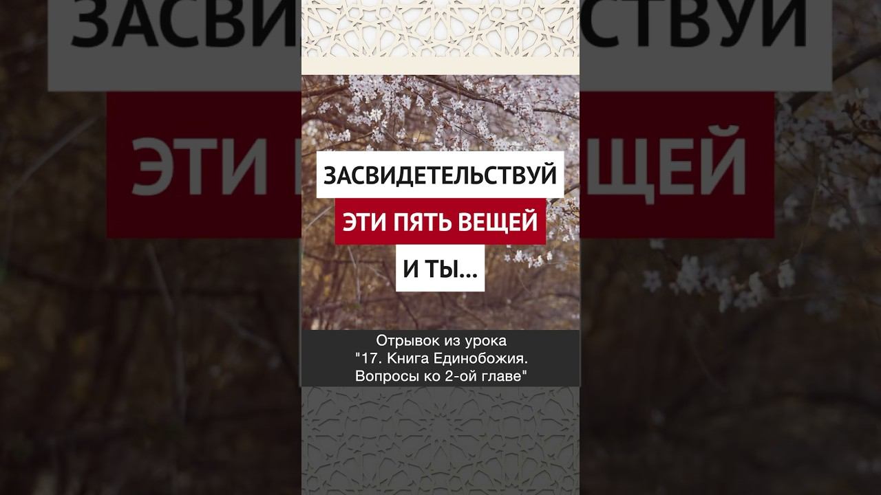 Засвидетельствуй эти пять вещей и ты…|| Ринат абу Ибрахим #ислам #коран #вера #бог #намаз #сунна #ад