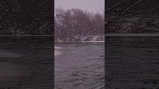 В "разгар" декабря.