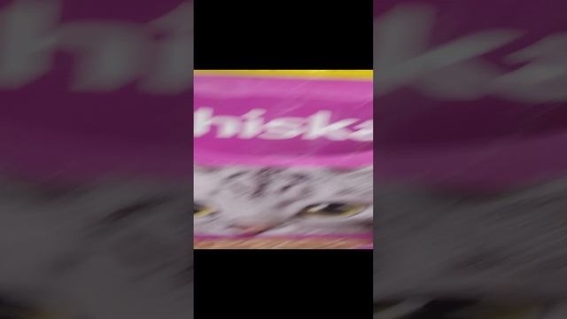 ШОК КАНТЕН Я НАШЛА БИСКАСА В РЕАЛЬНОЙ ЖИЗНИ ЧТОООООООООООООООООООООООООООООООО😱😱😱😱😱😱😱😱😱😱😱