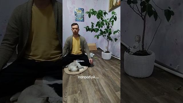 медитация-самый эффективный инструмент гармонизации ума и очищения мыслей. попробуй