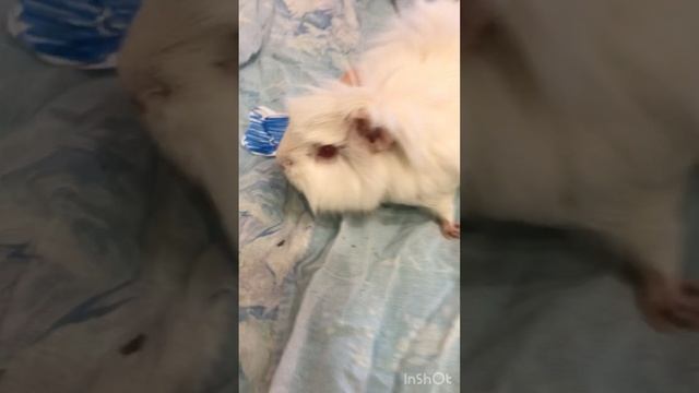 Супер 🙂