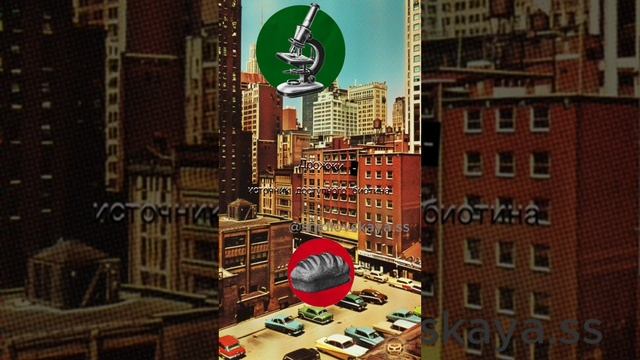 Биотин и яйца: правда о сырых яйцах 🥚 #здоровье #биотин #витамины