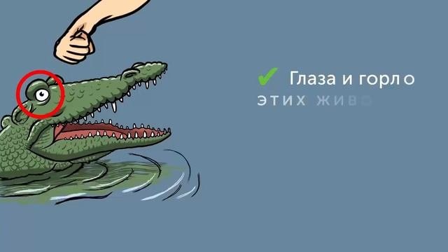 13 советов помогут выжить в дикой природе