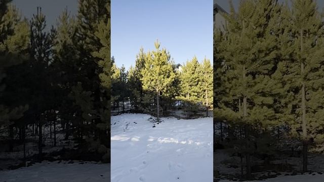 Дом 136 м2 за 9,99 млн. Под Домам Эксперт.