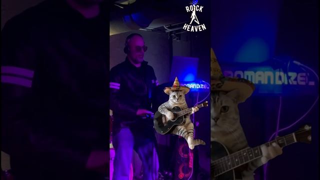Вечеринки в Rock Heaven Bar в Королеве