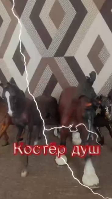 костёр душ 2