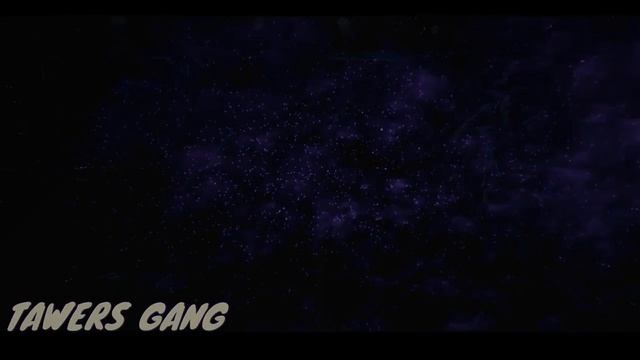 T4WERKA Gang