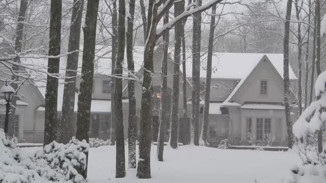 Зимняя снежная буря, прогулка по зимнему лесу и уютные дома