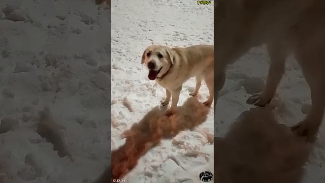 Спортивная активистка