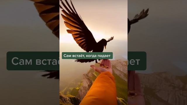 #мотивация