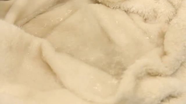 КЗ Пятновыводители 28 12 2018