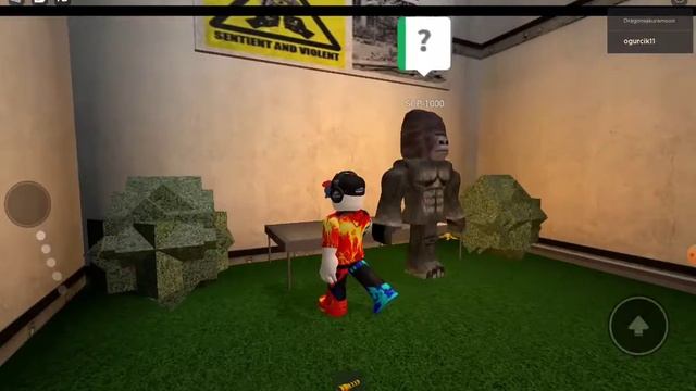 СБЕГАЕМ ИЗ ЛАБОРАТОРИЙ КАКИКТО СЦП В ИГРЕ РОБЛОКС  ROBLOX