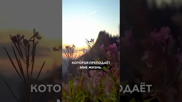Аффирмации для рожденных 5 и 27 числа✨