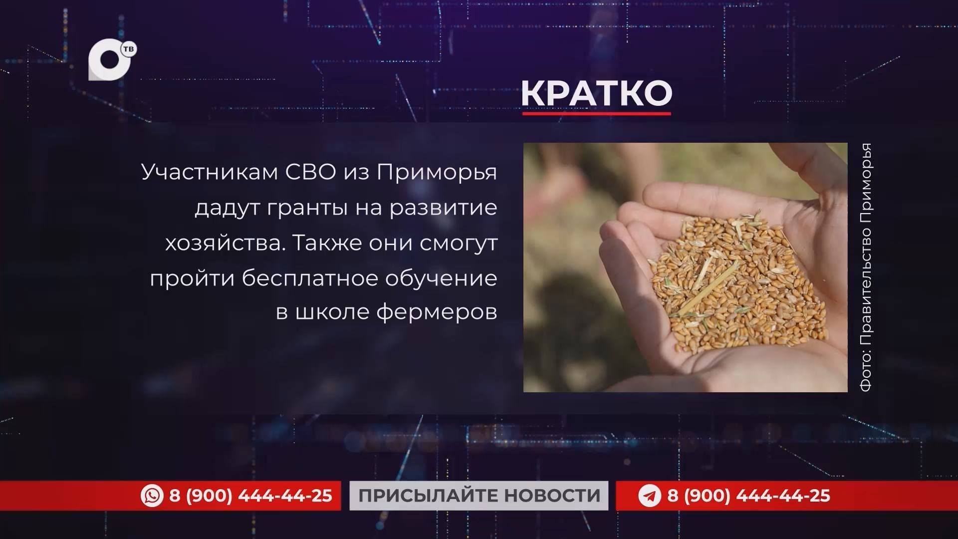 Кратко / 12.12.24 / Вечер