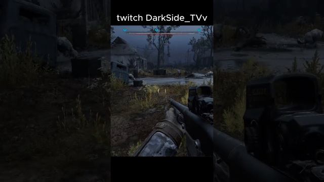 darkside_tvv(собаки напугали)