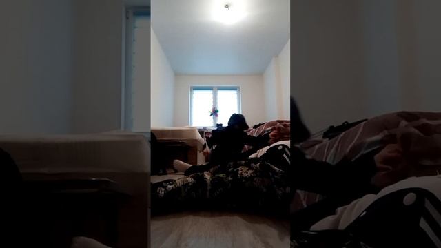 ГнОмИк
