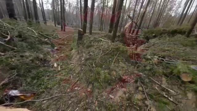 Разведчики армейского спецназа России на взятом опорнике ВСУ в Серебрянском лесничестве.