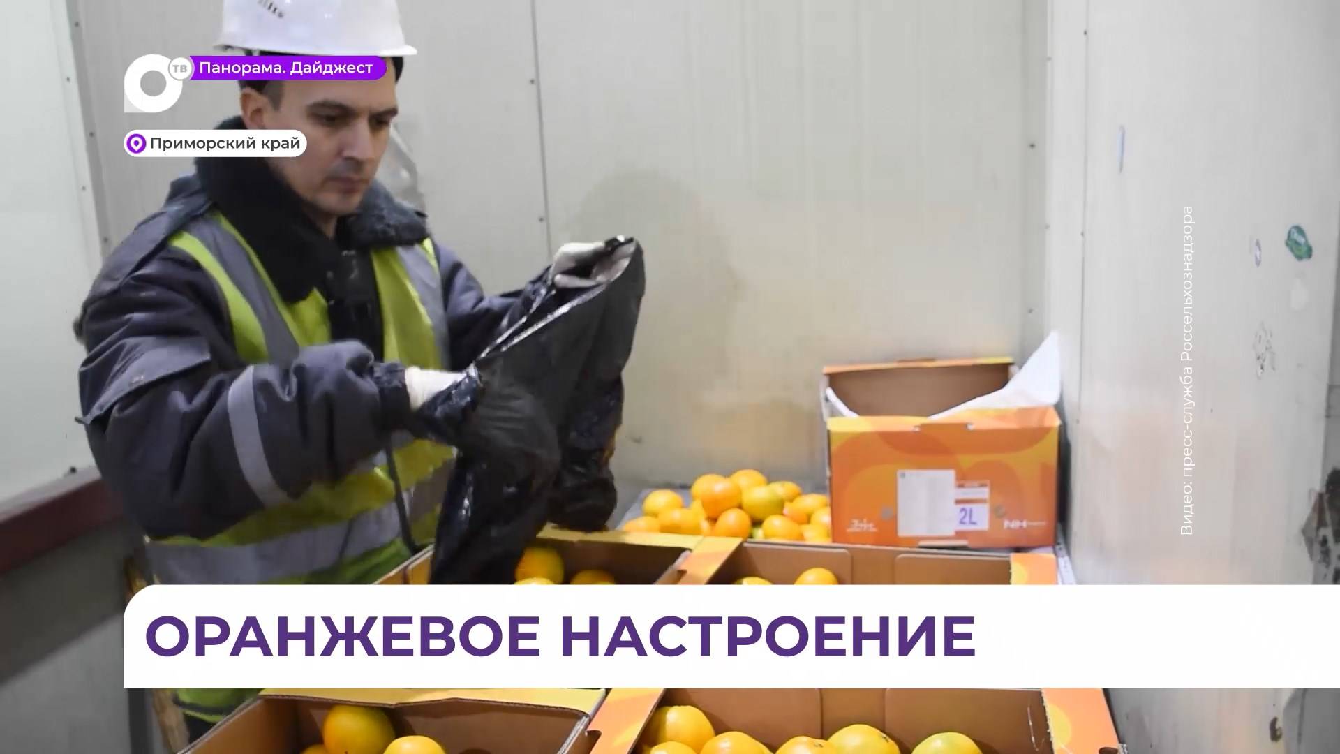 Предновогодний ажиотаж наступает в Приморье