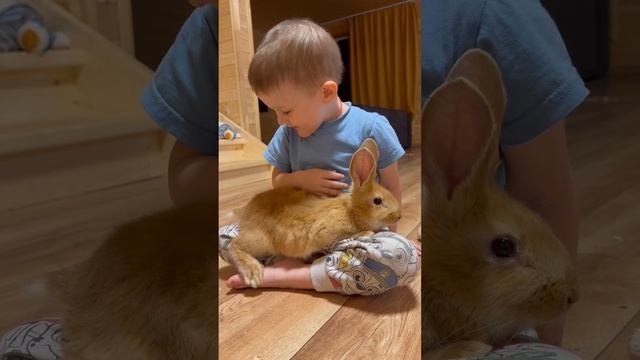 Кролик полюбил малыша