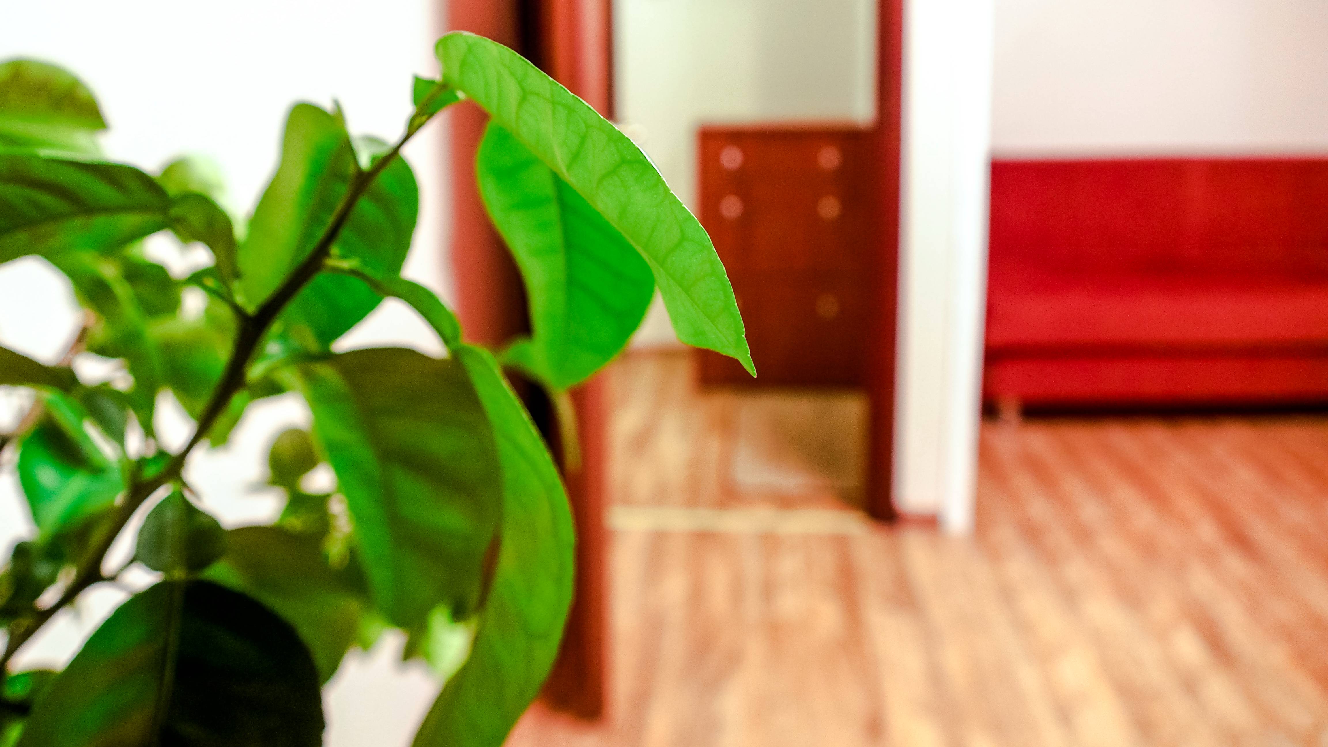 Как сдать квартиру надежным нанимателям? ссылка в описании, Гиляровского 12