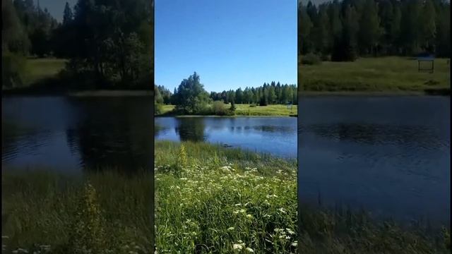 1000007448.mp4