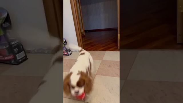 Работник_дня