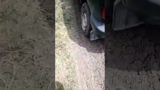 Сюрприз рыбакам от ...