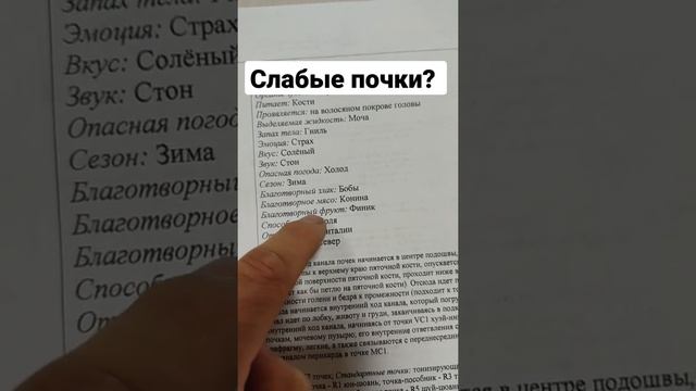 слабые почки? как укрепить?