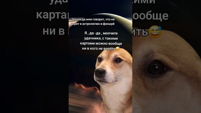 молчите удачники😅😅