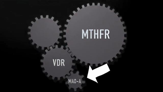 Dr. Scott Howard D.C. trys to explain Methylation made easy
