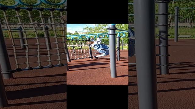 22561.mp4