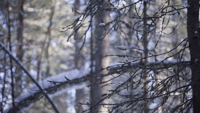 Benro SHD ND500 IR ULCA WMC тест