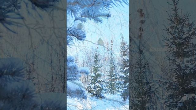 Зима России Башкортостан.