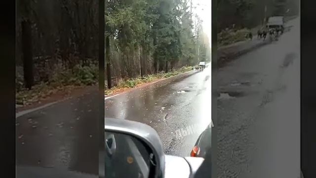 всякая всячина