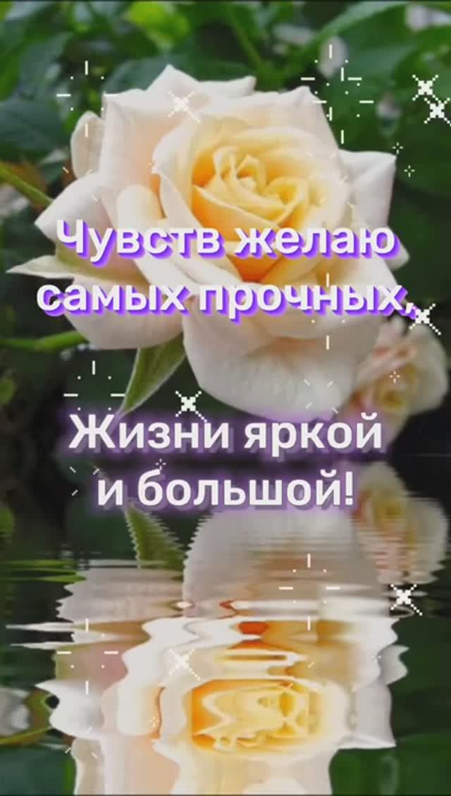 День Рождения дочери.