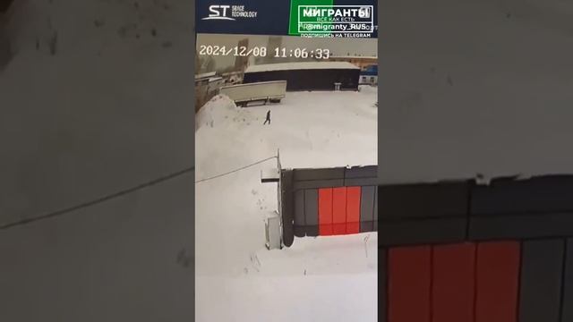 В Сургуте дикарь трубой избил собаку, а после вернулся и добил лопатой.
