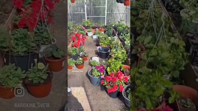 Захейтили за это #садоводство #садогород #огород