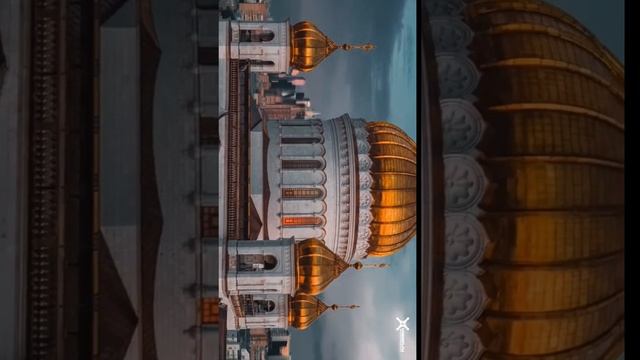 1000021855.mp4