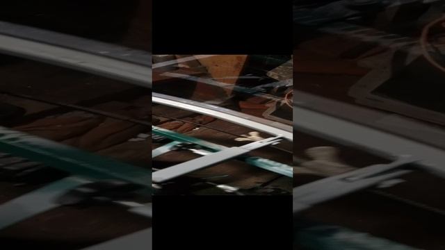 1000019396.mp4