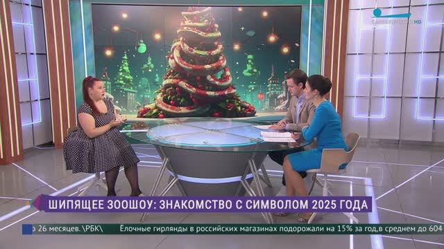 Что нужно знать обязательно, если решитесь завести дома змею