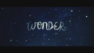 Wonder