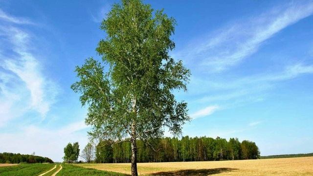 Песня Только раз бывают в жизни встречи...
