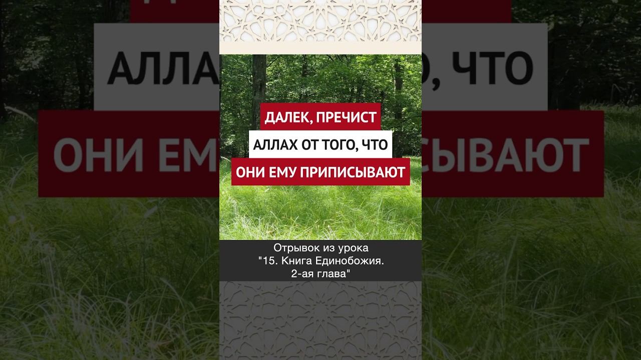 Далек, пречист Аллах от того, что они Ему приписывают || Ринат абу Ибрахим #ислам #коран #вера #бог