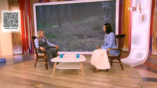 Энергосберегающие технологии в строительстве | Наша природа с Натальей Торнквист