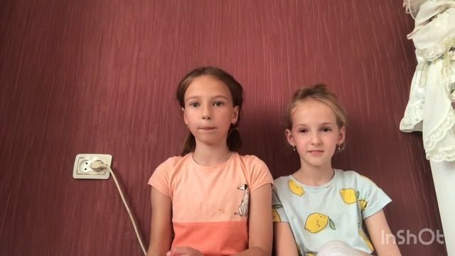 Стоит Ли заводить Хомяков?#грызуны #домашниеживотные #крысы #вреки #подпишись ￼