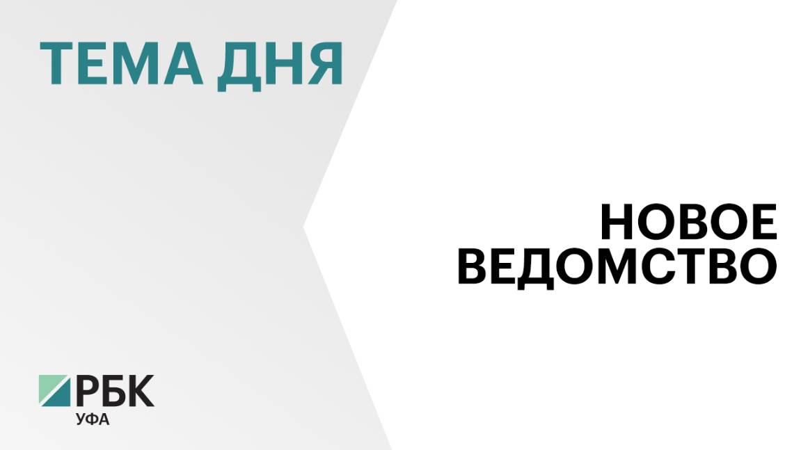 В Башкортостане создадут Госкомитет по научно-технологическому развитию