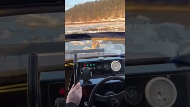 Сотрудники МЧС спасли собаку, уплывшую на отколовшейся льдине в Вологодской области.