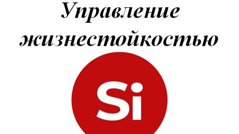 Конгресс 2024 Анталия - Управление жизнестойкостью. Алевтина Китова.