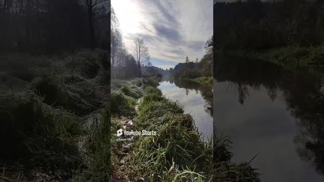 Очередное утро принесло нам 2,5 кг..Хуторок Заречный. Жизнь на берегу речки #shorts#рыбалка#fishing