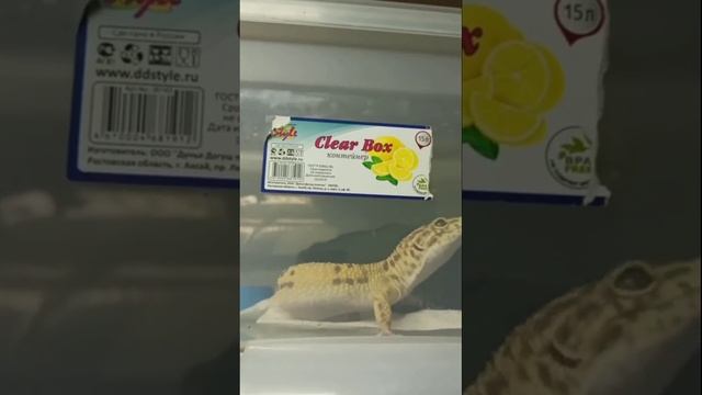 Что застала, придя домой с работы. 11 декабря 2024 г.